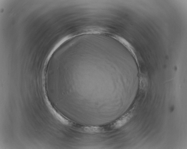 X0000083560859200702231601