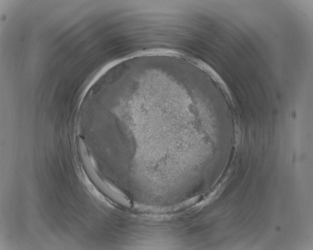 X0000083560860200702231601