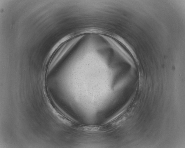 X0000083560861200702231602