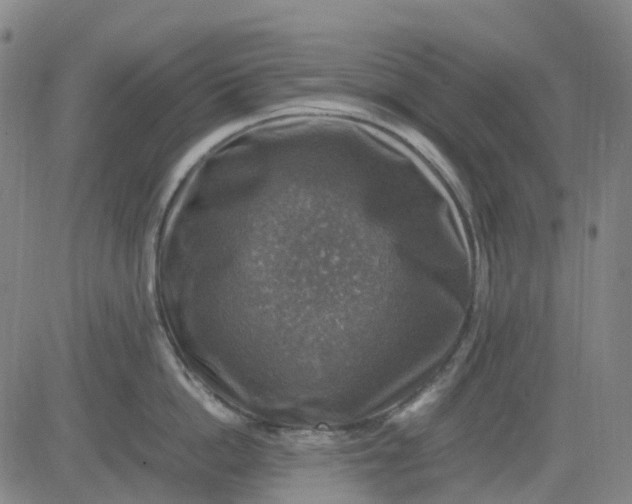 X0000083560862200702231602