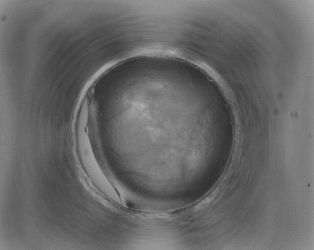 X0000083560864200702231602