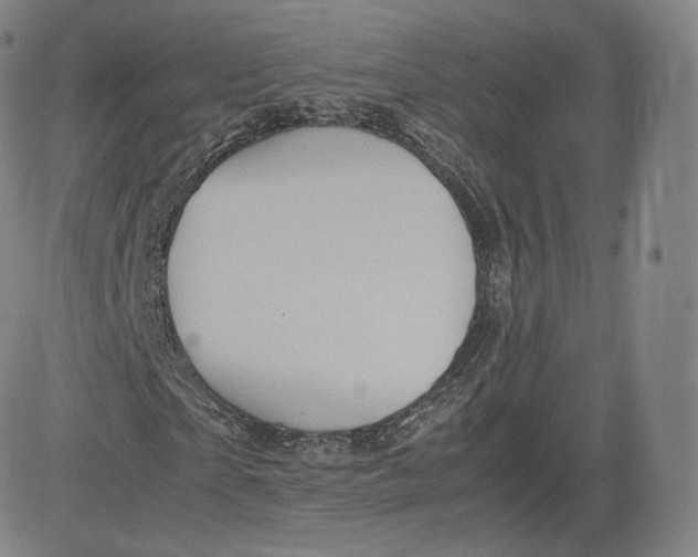 X0000083560865200702231601