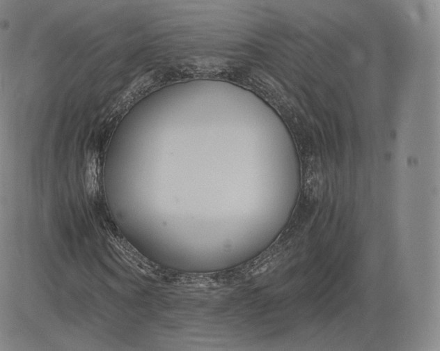 X0000083560866200702231601