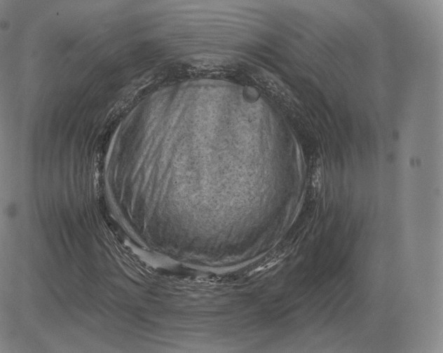 X0000083560868200702231601