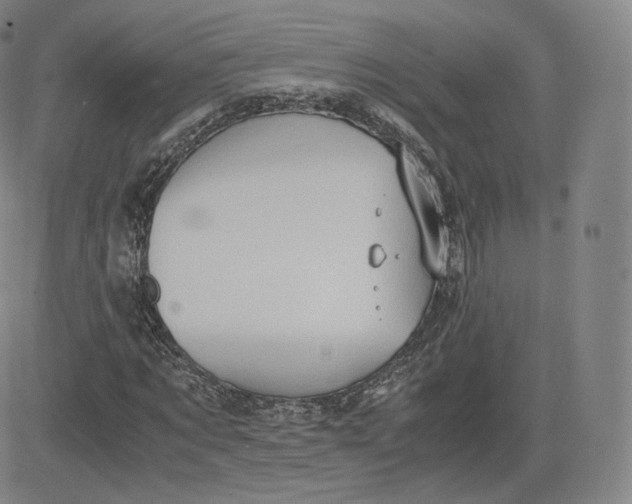 X0000083560869200702231601