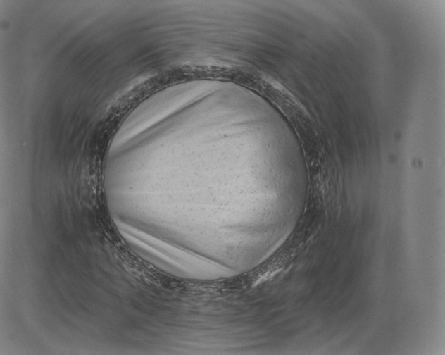 X0000083560870200702231601