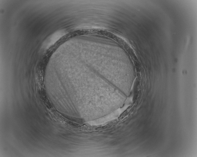 X0000083560871200702231601