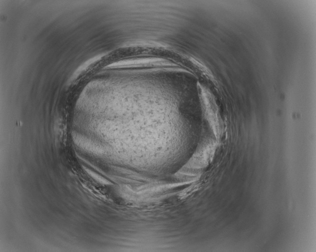 X0000083560872200702231601