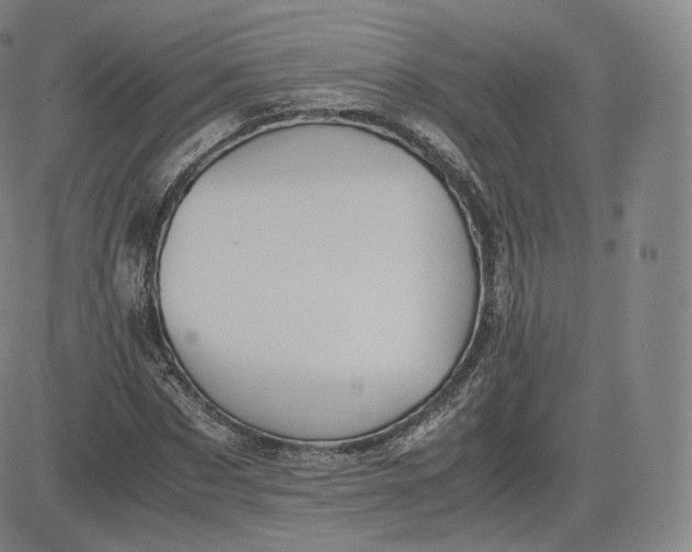 X0000083560873200702231601