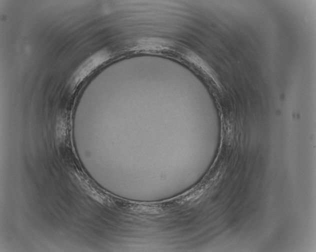 X0000083560874200702231601