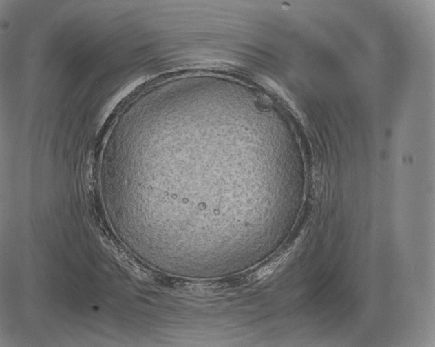 X0000083560875200702231601