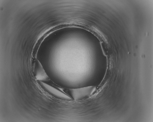 X0000083560876200702231601