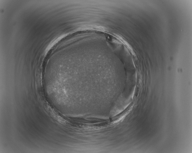 X0000083560877200702231600