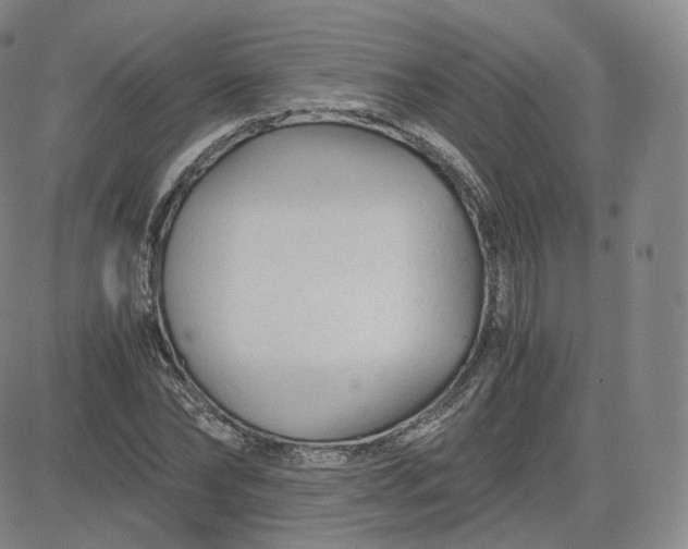 X0000083560878200702231600