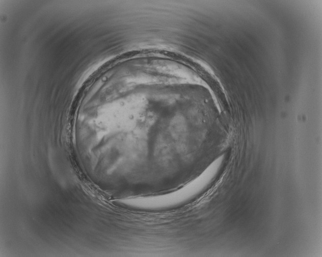 X0000083560879200702231600