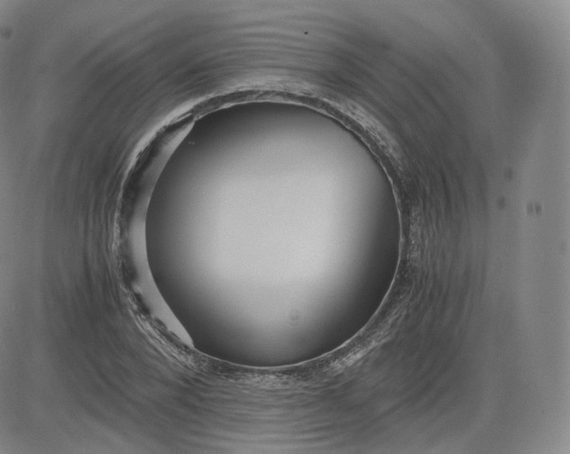 X0000083560880200702231600