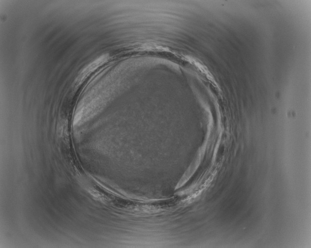 X0000083560881200702231600