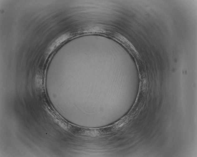 X0000083560882200702231600