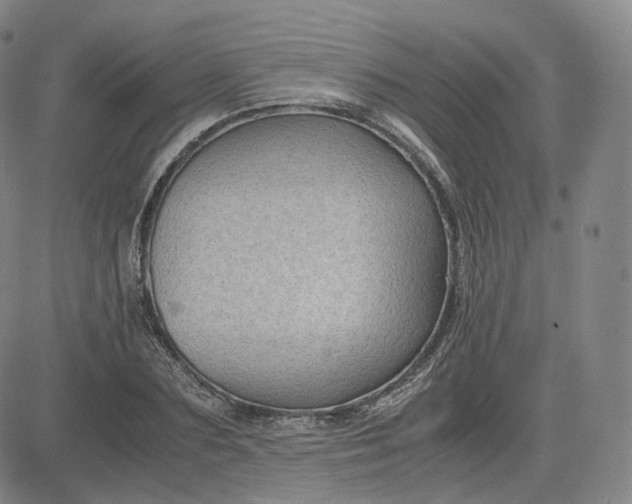 X0000083560883200702231600