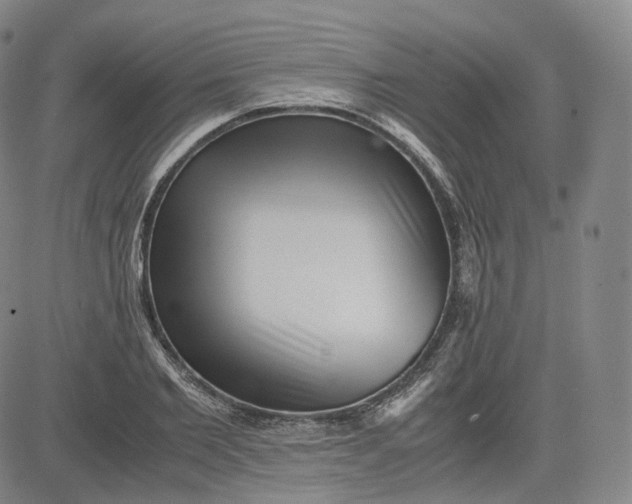 X0000083560885200702231600