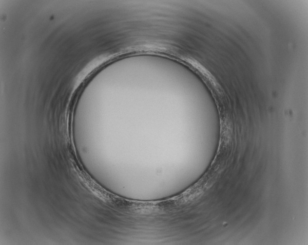 X0000083560886200702231600