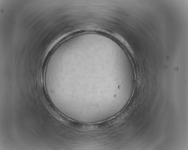 X0000083560887200702231600