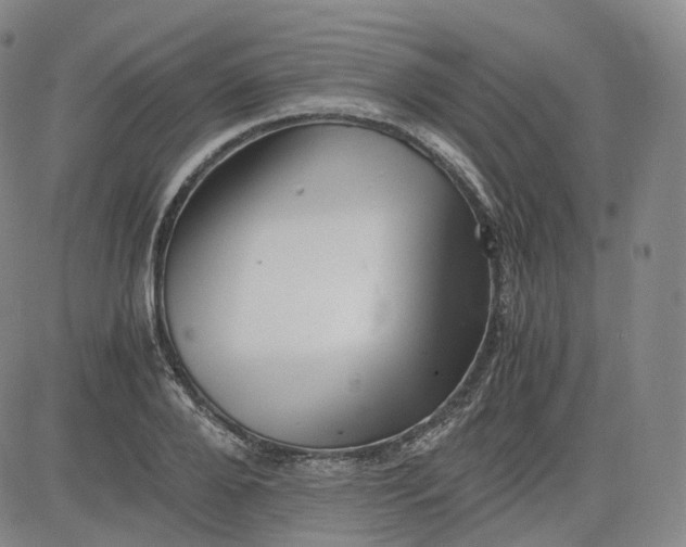 X0000083560888200702231600