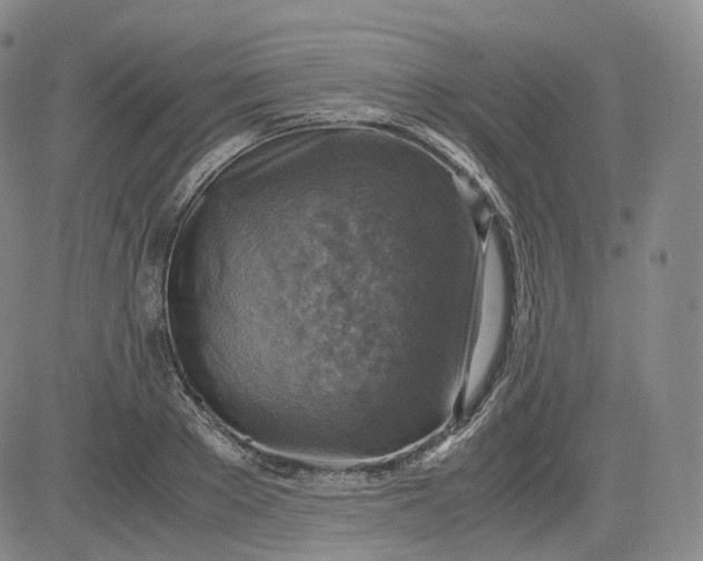 X0000083560889200702231600