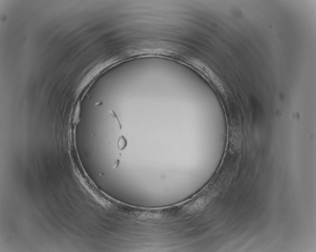 X0000083560890200702231600