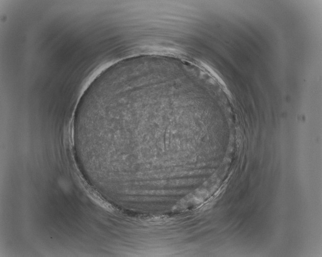 X0000083560891200702231600