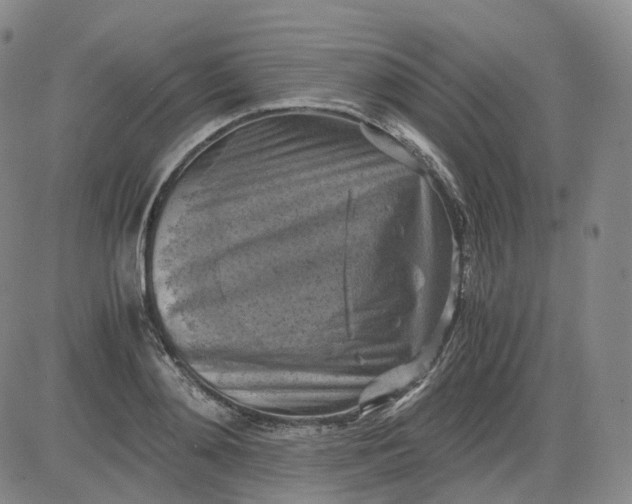 X0000083560892200702231600