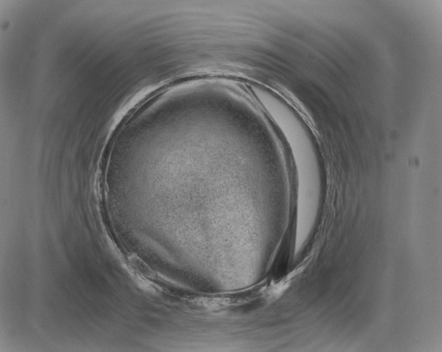 X0000083560893200702231600