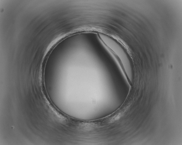 X0000083560894200702231600