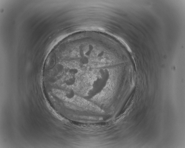 X0000083560895200702231600