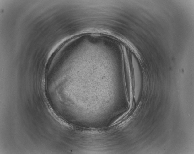 X0000083560896200702231600