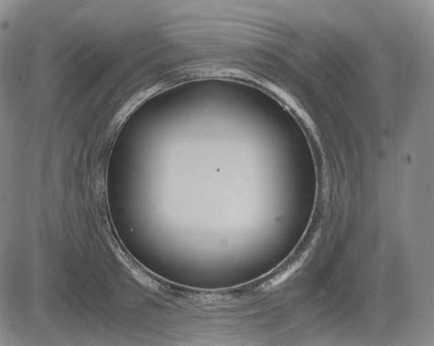 X0000083560897200702231600