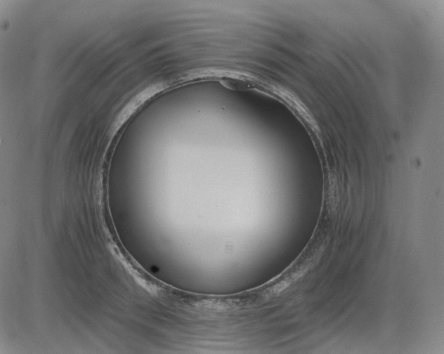 X0000083560898200702231600