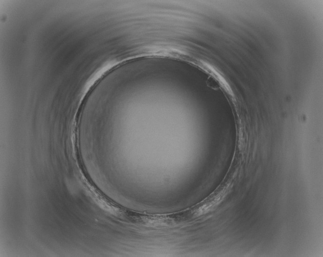 X0000083560899200702231600