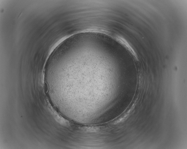 X0000083560900200702231600