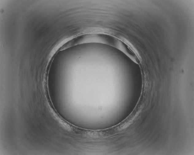 X0000083560901200702231600