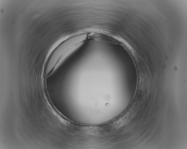 X0000083560902200702231600