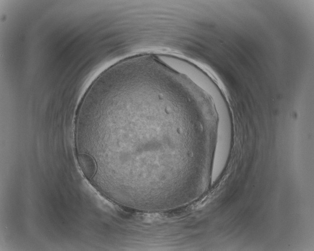 X0000083560903200702231600