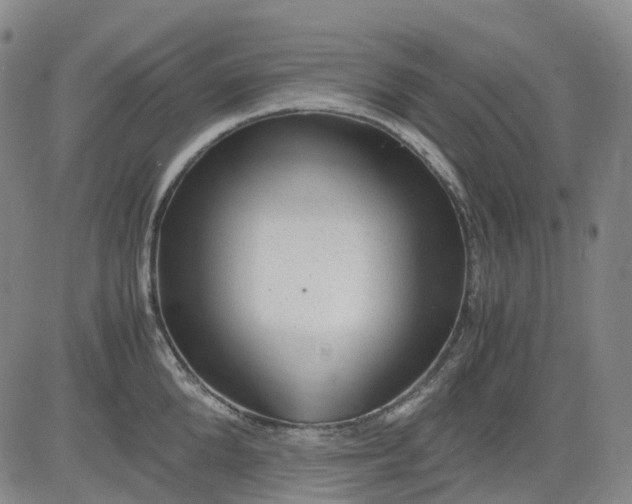 X0000083560904200702231600