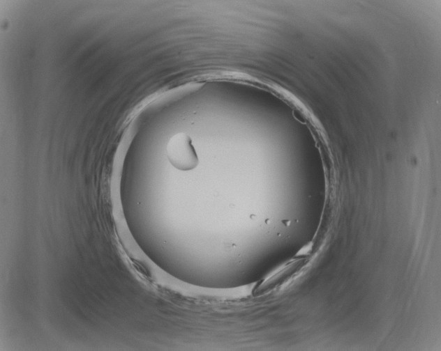 X0000083560905200702231600