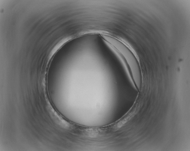 X0000083560906200702231600