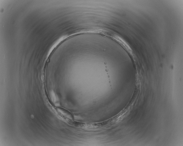 X0000083560907200702231600