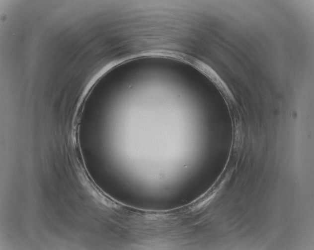 X0000083560908200702231600