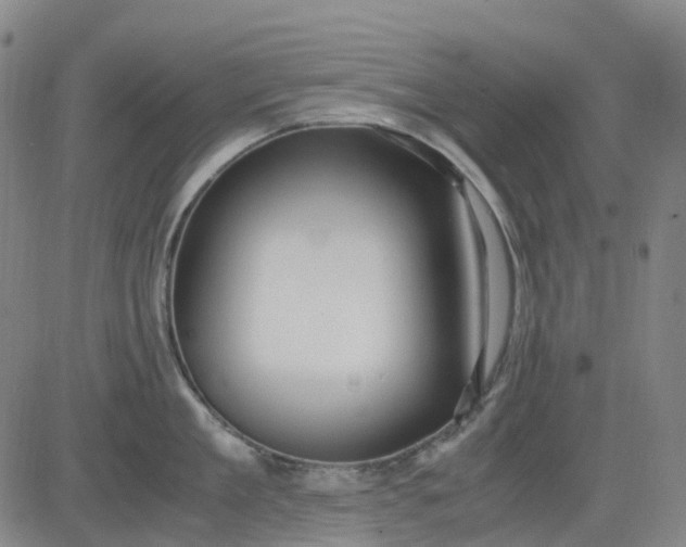 X0000083560909200702231600