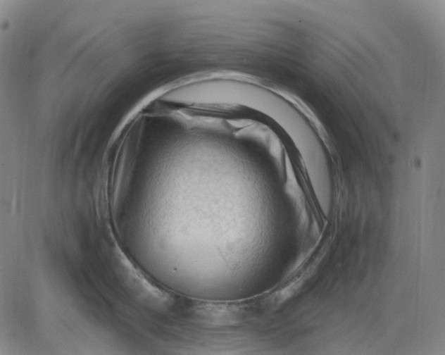 X0000083560910200702231600