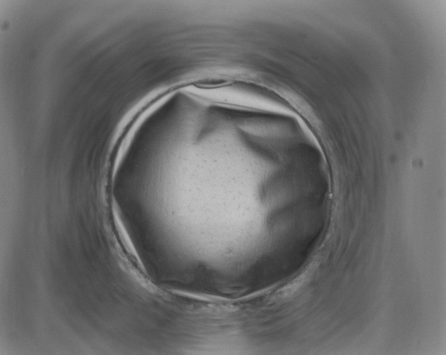 X0000083560912200702231600